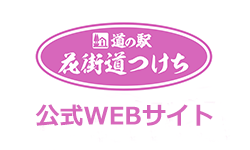 ̉wԊXWEBTCg